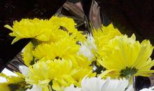 今年春天，我很高兴