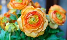 成功掌握在我手中