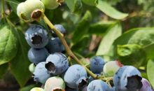 一次满意的合作