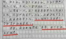 我的爸爸二年级作文