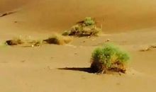 只要路是对的就不怕遥远