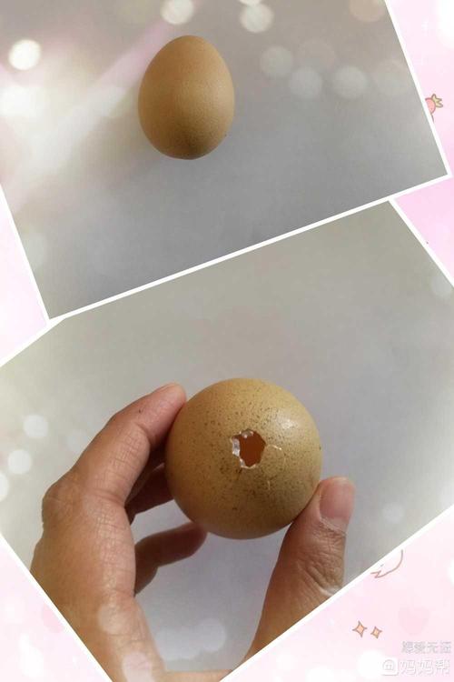 “捏”坚不可摧的蛋