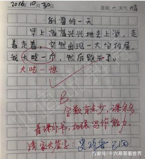 太好了，我的班主任写了600字
