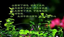 生命因挫折而精彩