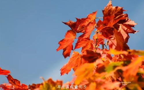 努力浇灌成功之花