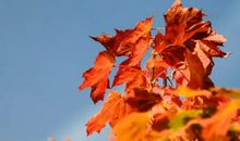 奋斗浇灌成功之花