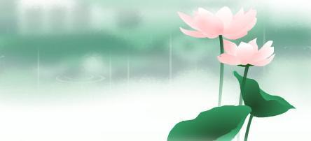 朵朵荷花