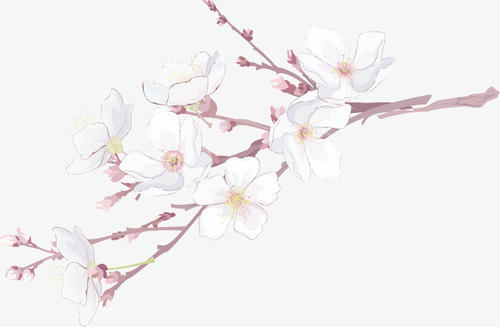 桃花从墙上冒出来