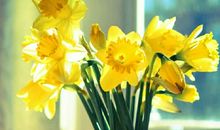 从来没有这样沉醉