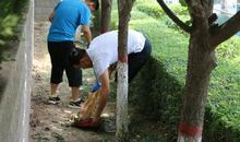 阳光下的奉献者