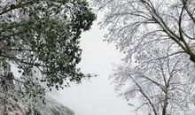家乡的冰雪