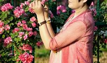 陶醉于那抹蔷薇