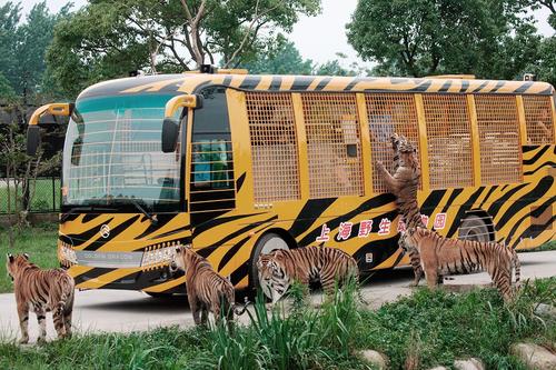 上海野生动物园游记