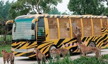 上海野生动物园游记