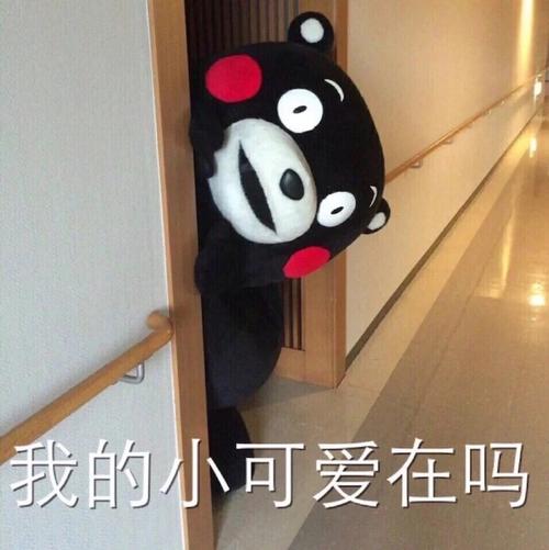 我的小美女