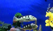 难忘的海底世界之旅