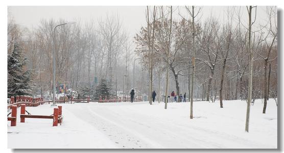 五年级的雪中400个单词