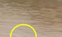 令我感动的那一幕