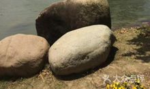 游南通洲际绿博园