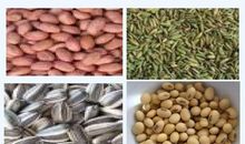 生命如种子——读《种子的萌发》有感