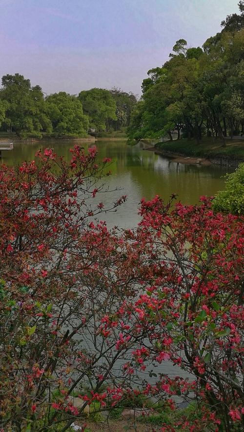 在植物园旅行