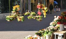 像花儿那样绽放