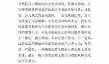 雾中即景五年级作文