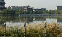 我爱故乡的西湖