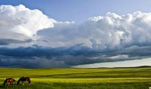 游内蒙古大草原