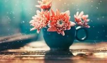 那段温暖的记忆