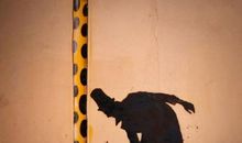 温暖在角落里发光