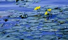 运动的感觉真好