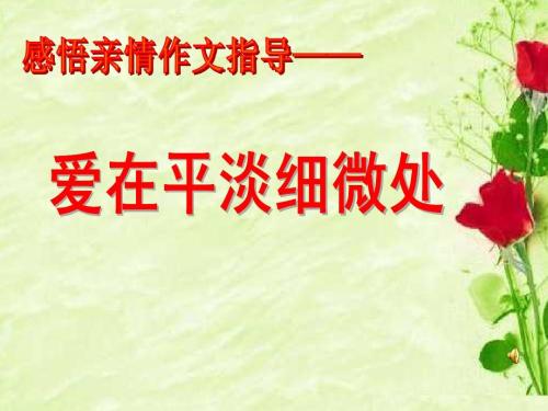 平凡的爱
