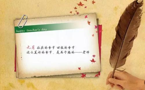 老师感悟