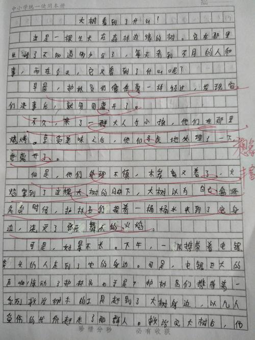 我眼中的多彩世界组成