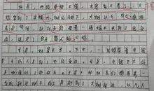 我眼中的缤纷世界作文