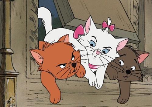 猫嘴逃生
