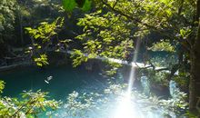 阳光下静美如你