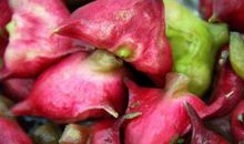 描写菱角的作文