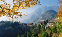 秋天的泰山公园