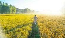 阳光就我在身边