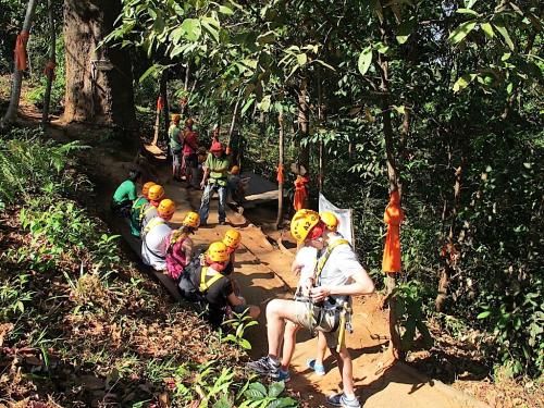 令人兴奋的丛林飞跃