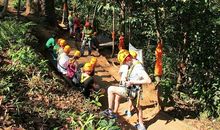 刺激的丛林飞跃