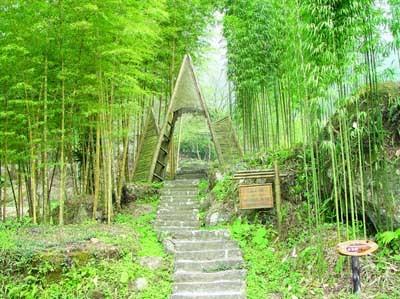 记忆中的风景