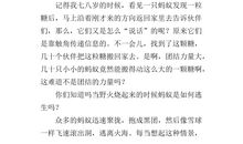 我发现了蚂蚁摔不死的作文100字