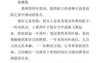 樱花牵动我的情思