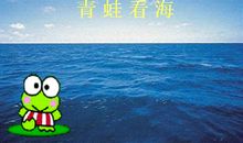 走到的大海里的青蛙