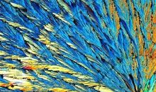 我最欣赏的艺术