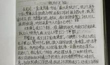 关于石头的作文