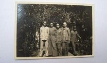 青春恰到时方好